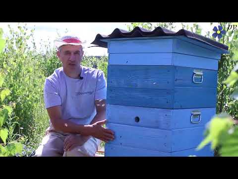 Видео: Интересная особенность Карники