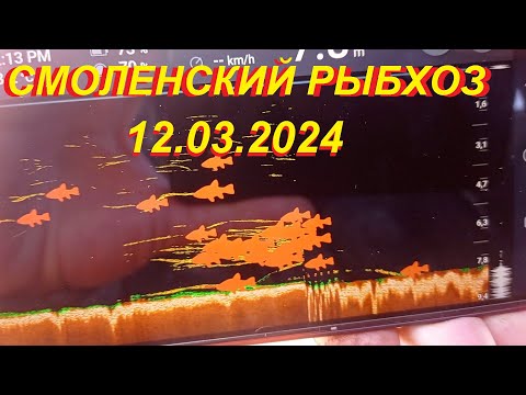 Видео: Смоленский рыбхоз 12/03/2024.