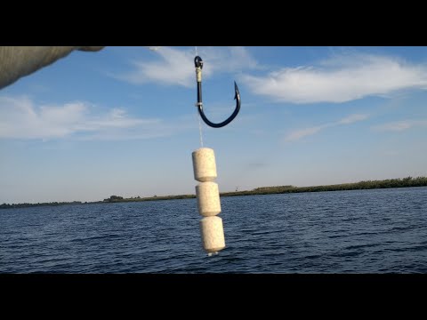 Видео: Рыбалка на ПЛАНКТОН и море бесплатных приманок для вас