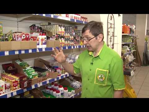 Видео: КОНСУЛЬТАНТ САДОВОДА 193