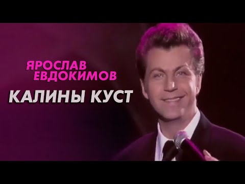 Видео: Ярослав Евдокимов - Калины куст, 1996