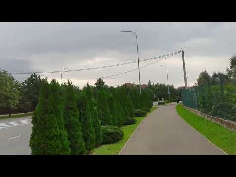 Видео: Сириус.Прогулка