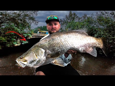 Видео: Ловля баррамунди на Золотом Берегу!