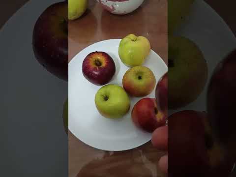 Видео: Обзор новинок яблок! Машевский сад!