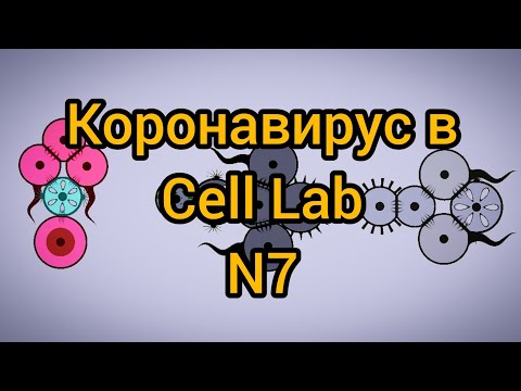 Видео: Коронавирус в Cell Lab, N7
