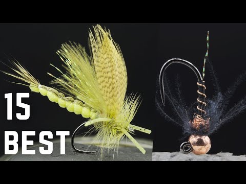 Видео: 15 мух, которых НЕЛЬЗЯ ИГНОРИРОВАТЬ!