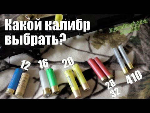 Видео: Какой калибр лучше? ▶ 12-16-20-410 ? Выбираем первое ружье ◀ Этого вам не расскажут продавцы.