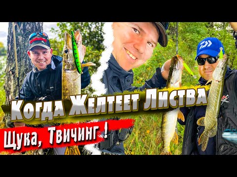 Видео: Ловля Щуки | Твичинг Воблеров | Денис Вихров