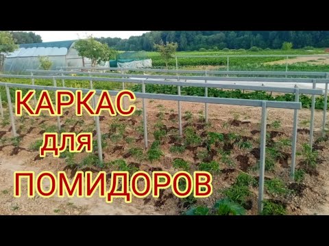 Видео: Конструкция для подвязки помидоров.