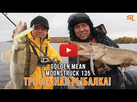 Видео: ТРОФЕЙНАЯ ЩУКА и СУДАК на Волге!  Golden Mean MoonStruck 135.