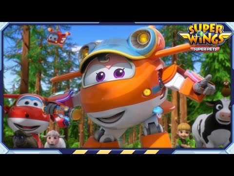 Видео: [Сборник SUPERWINGS5] Санни! | Супер домашние животные | Суперкрылья Полные эпизоды