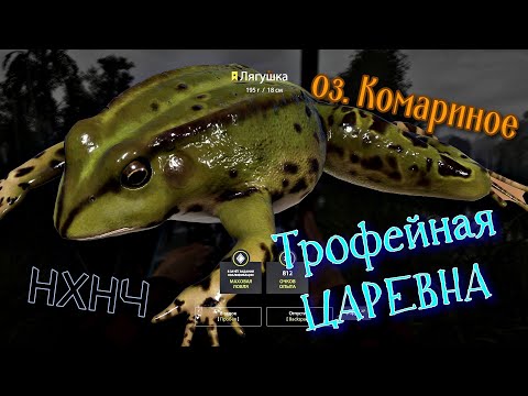 Видео: Трофейная ЛЯГУШКА на Комарином озере. Троф лягушки. Русская Рыбалка 4. Комаринка. Комариное. РР4. РР