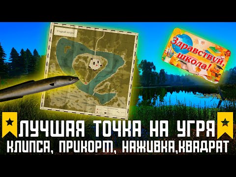 Видео: Лучшая точка на угря на Остроге Russian Fishing 4 #русскаярыбалка4 #russianfishing4 #трофейрр4#фарм