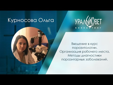 Видео: Введение в курс паразитологии. Организация рабочего места. Методы диагностики. Ольга Курносова