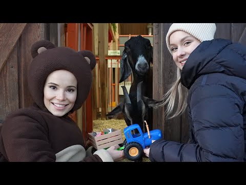 Видео: Алиса Шоу - Алиса и Медведь играют в сортер Синий Трактор