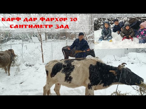 Видео: Барф дар Фархор 30 сантиметр зад.Якрузи Рахим Прадакшн дар кишлок.😱Хеч боварим наомад дар. ин барф