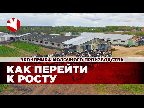 Видео: Как перейти к росту в производстве молока? | Экономика молочного животноводства