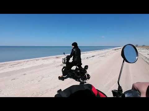 Видео: Долгожданная посылка с озон. Электроскутер (электровелосипед) SK 8. Едем к морю 🛵🛵