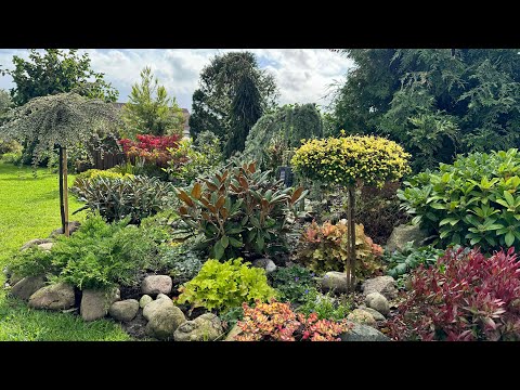 Видео: Структура МИКСБОРДЕРА ( цветника) в моём саду # Какие растения растут 🌱Mein Garten