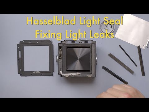 Видео: Уплотнители Hasselblad Light, устранение утечек света || Как это сделать