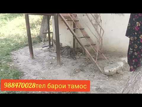 Видео: Боги шахсии фуруши дар Нефтобод