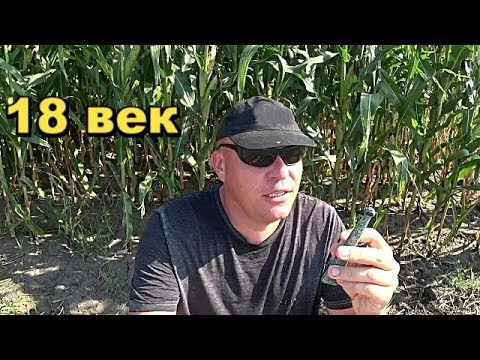Видео: РЕАЛЬНАЯ НАХОДКА 18 ВЕКА