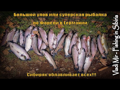Видео: Большой улов или суперская рыбалка на ФОРЕЛЬ в ГЕРМАНИИ. Сибиряк облавливает всех!!!