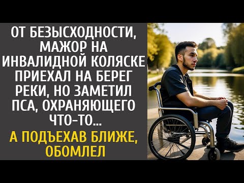 Видео: От безысходности, мажор на инвалидной коляске приехал на берег реки… А заметив пса со ЭТИМ, обомлел…