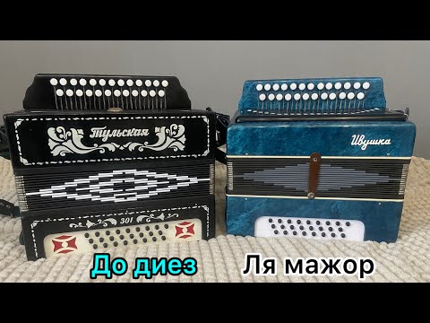 Видео: Отличные гармони на продажу!!! До диез и ля мажор! Ивушка, тульская 301