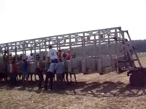 Видео: конни надбягвания Самуил