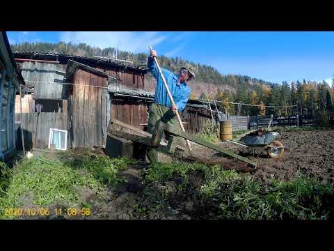 Видео: Готовим огород к зиме, рецепт тыквенной каши