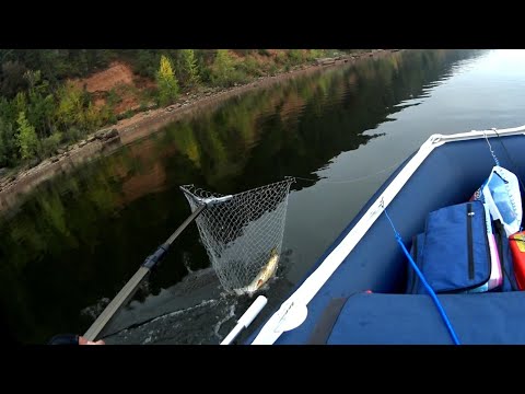 Видео: Троллинг, в поисках новых мест, р. Кама.