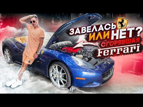 Видео: Первый запуск сгоревшей Ferrari. Заведется или нет?