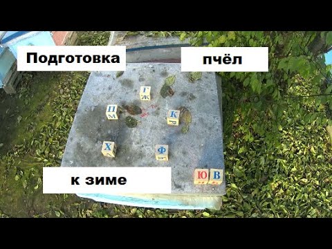 Видео: Система подготовки пчёл к зиме.