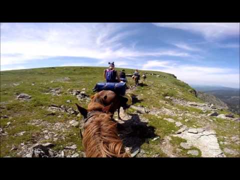 Видео: Алтай 2016. Каракольские озёра. Конный тур.