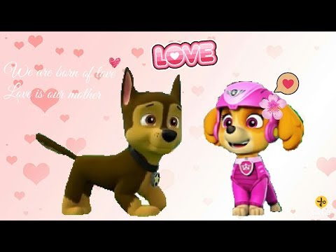 Видео: 🐾Гонщик и Скай🐾 - песня " не вернётся самолёт " ~ заказ для канала : Chase Paw Patrol ~