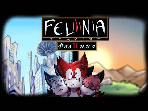 Видео: Коротко про Felinia (Фелиниа)/ Успех — всего лишь шаг, или вечность в бездне