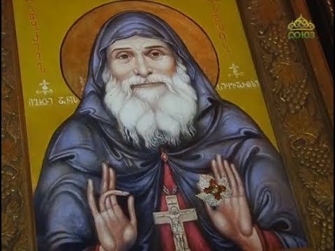 Видео: Миссия добра (Самара). От 9 июня. Преподобный Гавриил (Ургебадзе)