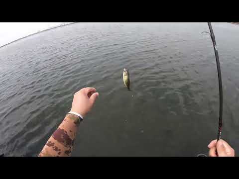 Видео: Ловля басса в корее