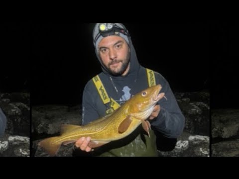 Видео: Охота на треску на северо-востоке | Зимний сезон начался | На рыбалку!