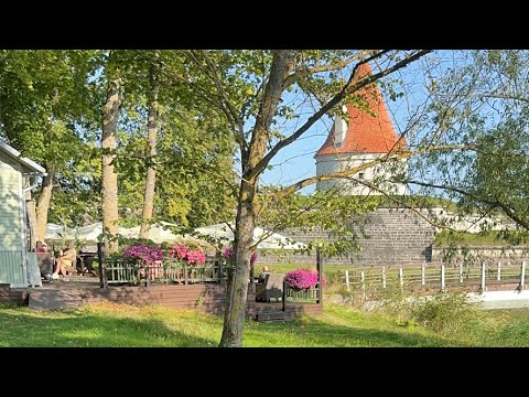 Видео: Прогулка с Ксенией в прямом эфире!