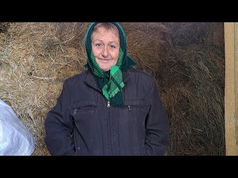 Видео: ИЗ КУХАРКИ В ДОЯРКИ !!! или наоборот