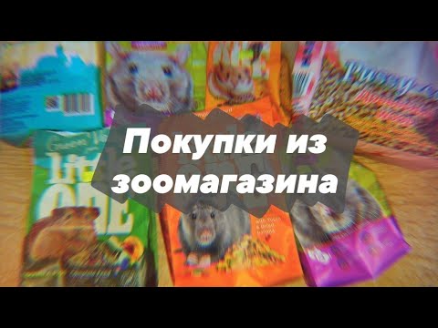 Видео: ПОКУПКИ ИЗ ЗООМАГАЗИНА