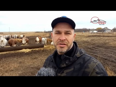 Видео: СЕЛЬЧАНЕ ЗНАЮТ КУДА ДЕЛОСЬ МАСЛО!