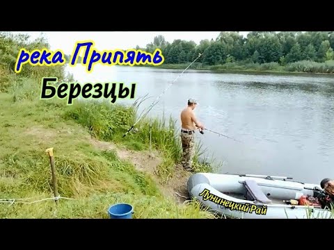Видео: Рыбалка. Река Припять. Отдых. Экскурсия по Березцам. 