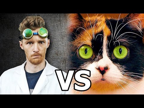 Видео: СЛИВКИ ШОУ? ПРОВЕРИМ!(полная версия)