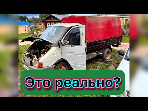 Видео: КУПИЛИ ГАЗЕЛЬ ЗА 40.000,СКОЛЬКО ЗАРАБОТАЕМ?/КОПИМ МИЛЛИОН