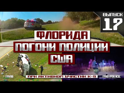 Видео: Погони полиции США: Флорида [Выпуск 17-2020]