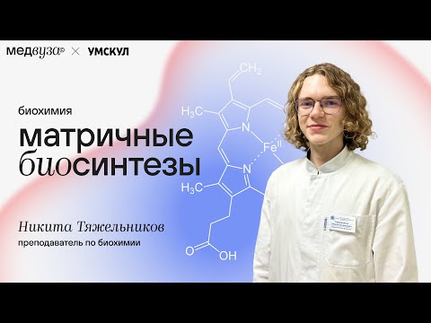 Видео: Матричные биосинтезы I Биохимия