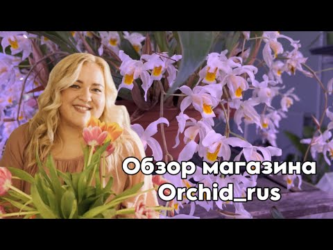 Видео: Orchid_rus магазин орхидей || Побывали в лучшем магазине орхидей 🤯😍 || Таких редкостей я не видел 🤯